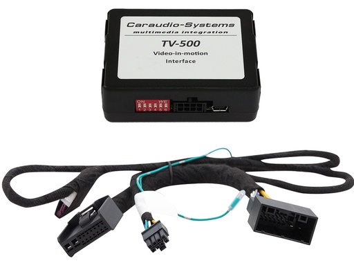 TF-MGU19